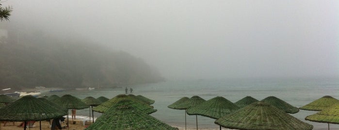 Palm Bay Beach Otel is one of สถานที่ที่ Gulsen ถูกใจ.