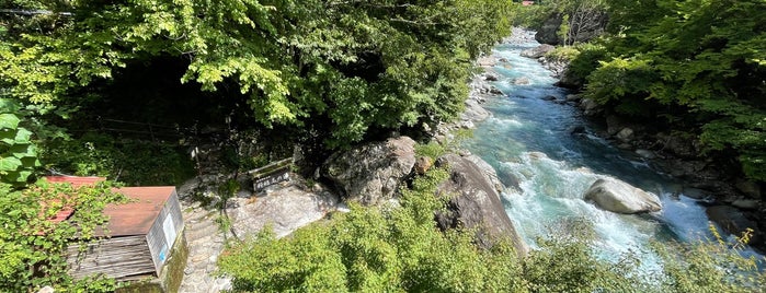 新穂高の湯 is one of 露天風呂・温泉.