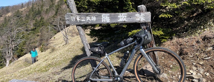 雁坂峠 is one of 山梨百名山.