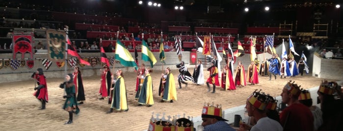 Medieval Times is one of Toronto Summer '14.