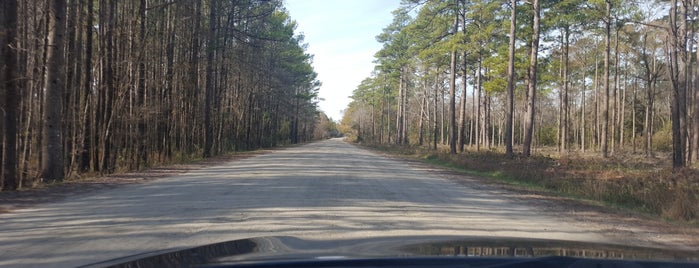 Croatan National Forest is one of NC.