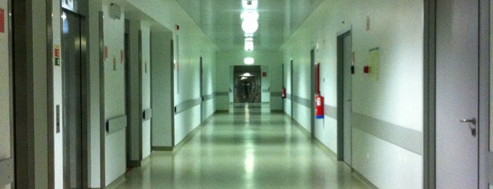 Hospital de Braga is one of braga.