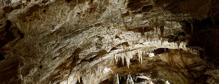 Lipska pećina is one of Podrico.