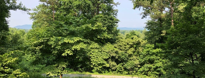 Carter Overlook is one of charlottesville.