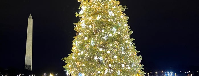 National Christmas Tree is one of John 님이 좋아한 장소.