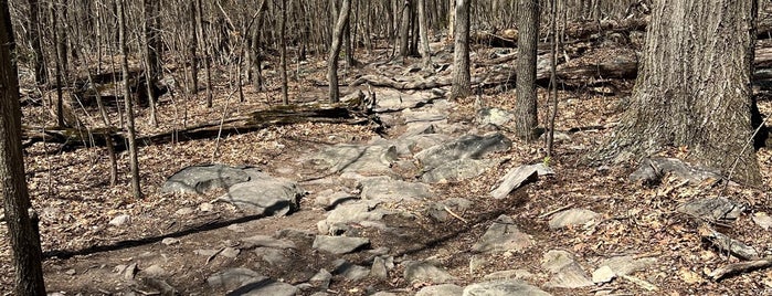 Raven Rocks is one of Hikes.