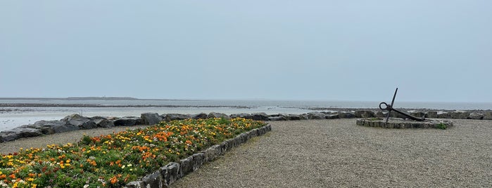 Salthill Promenade is one of Ireland.