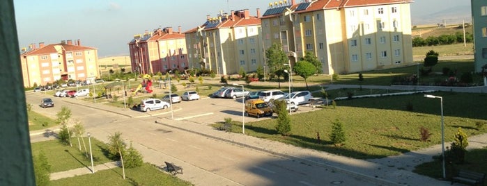 TOKİ is one of Orte, die Aslı gefallen.