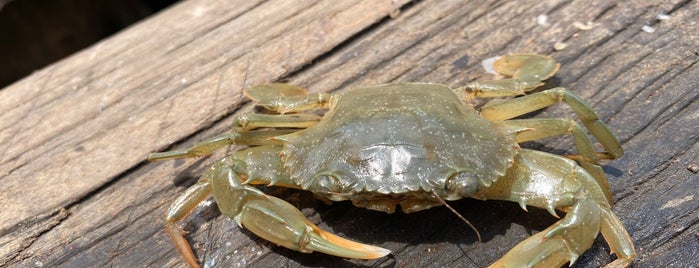 Kep Crab Market is one of Cambogia.