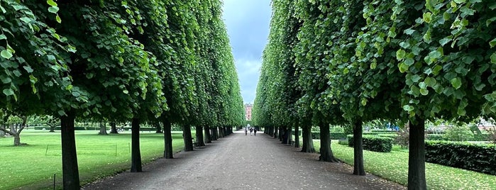 The King‘s Garden is one of Copenhagen.