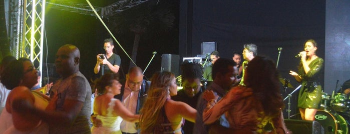 Tonka Entertainment is one of Punta Cana.