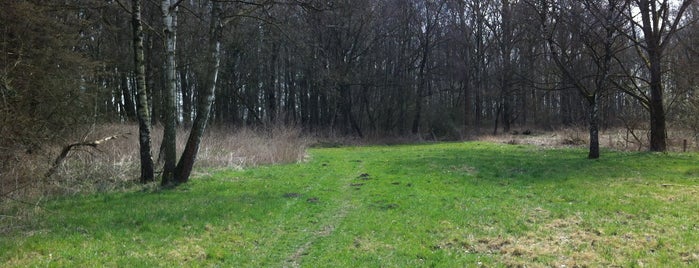 Naturschutzgebiet Buschei is one of Naturschutzgebiete Dortmunds.