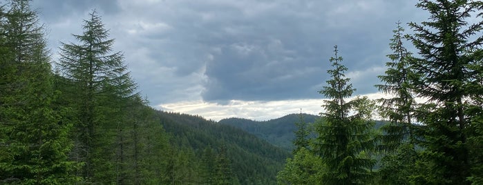 Dolina Jaworzynki is one of Zakopane.