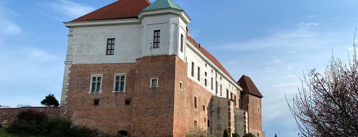 Zamek w Sandomierzu is one of Polsko 2.