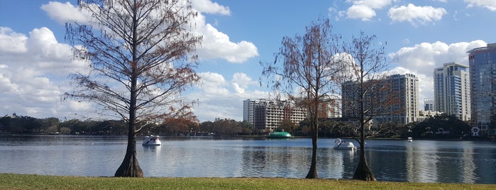 Lake Eola Park is one of Lugares favoritos de Luciana.