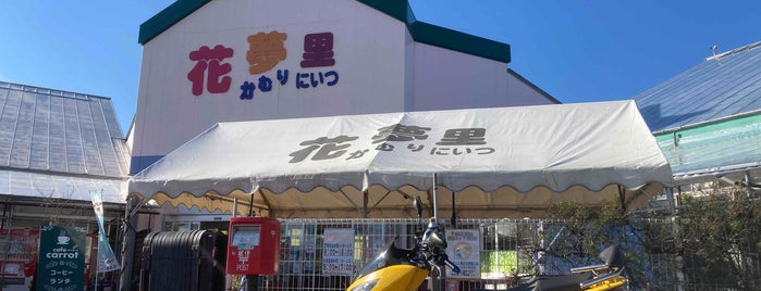 道の駅 花夢里にいつ is one of 新潟.