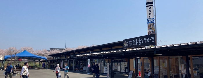 道の駅 サシバの里いちかい is one of 道の駅 関東.