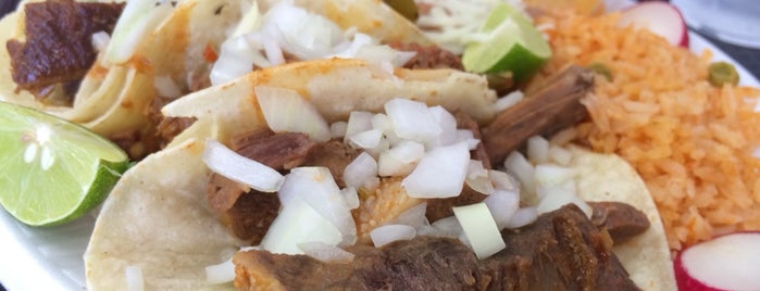 Taqueria Quadalupe is one of Tacos.