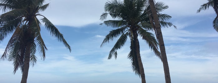 Jungle Beach is one of Alyonka'nın Beğendiği Mekanlar.