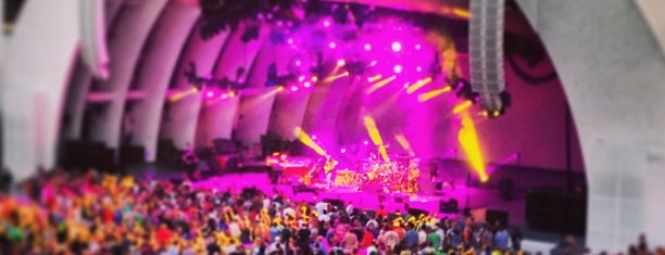 The Hollywood Bowl is one of Venues.