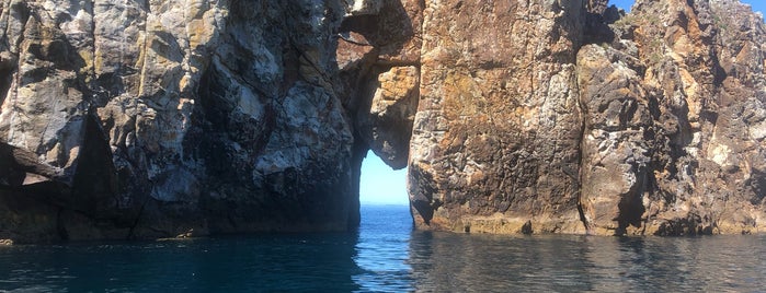 Northern Arch, Poor Knights Islands is one of Lugares favoritos de David.