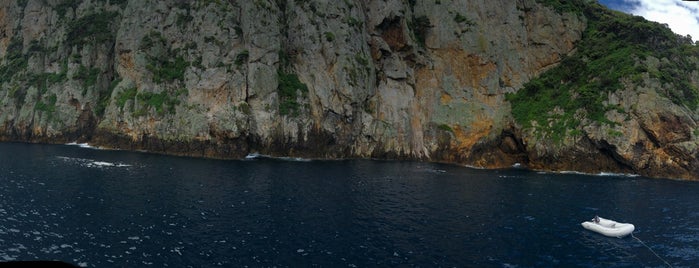 Poor Knights Islands is one of David’s Liked Places.