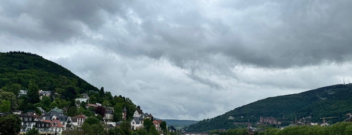 Neckarwiese is one of Best of Heidelberg.