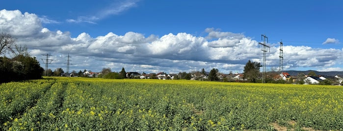 Eppelheim is one of the route.