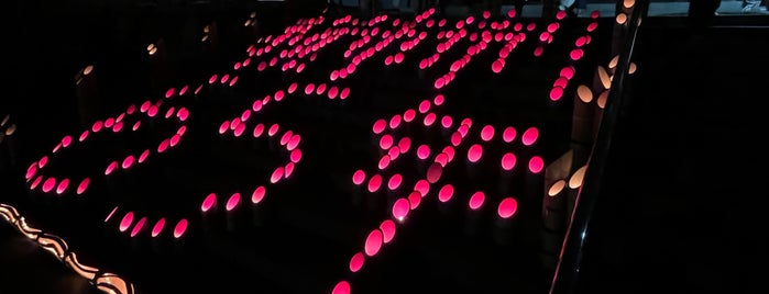 照蓮寺 is one of たまゆらの聖地、なので.