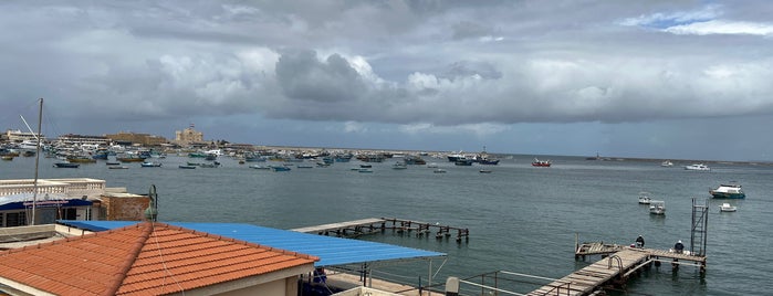 Fish Market is one of Alexandria - Egypt.