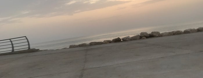 The best place in Khobar is one of Alkhobar Trip.
