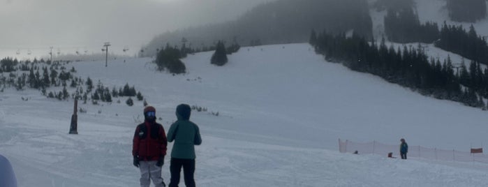 White Pass Ski Resort is one of Ski Areas.