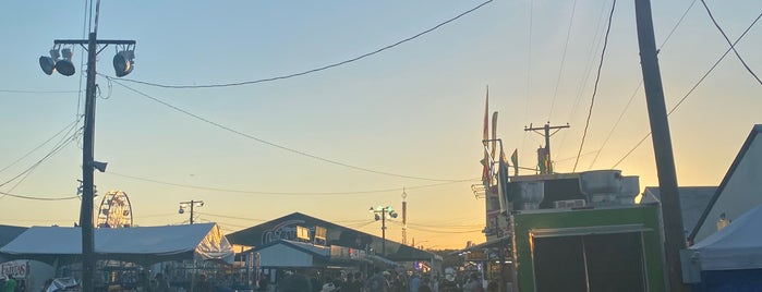 North Texas State Fair & Rodeo is one of Fun Things To Do.