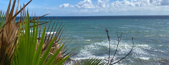 Calas de Rocamar is one of sitios habituales.