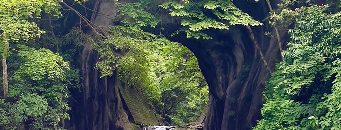Nomizo Falls is one of 千葉県.