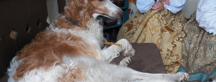 Carolina Renaissance Festival is one of Brian'ın Beğendiği Mekanlar.