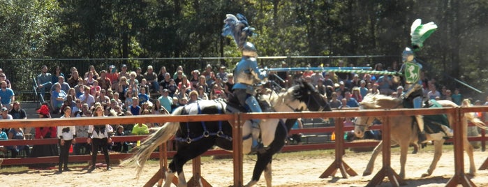 Carolina Renaissance Festival is one of Hometime Favorites.