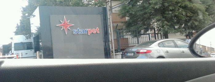 Starpet Genel Müdürlük is one of Locais curtidos por Özlem.