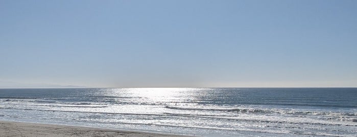 Manresa State Beach is one of Santa Cruz.