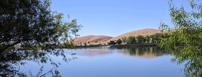 Contra Loma Reservoir is one of East Bay Regional Park District.
