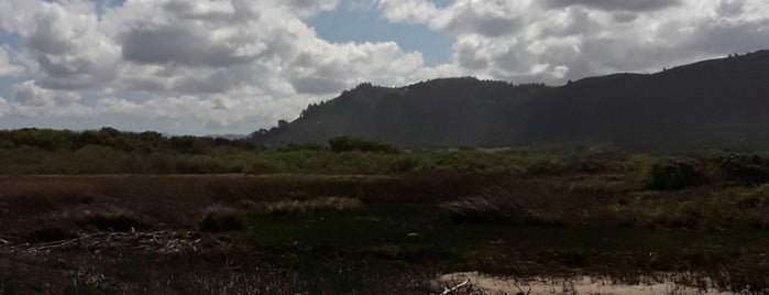 Carmel River Lagoon is one of Orte, die eric gefallen.