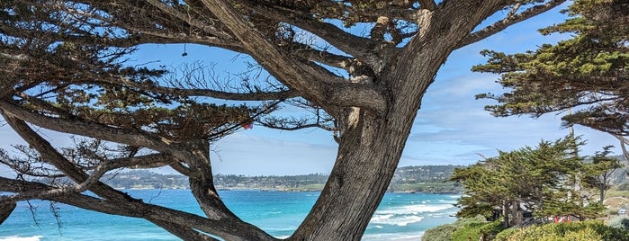 Carmel Beach City Park is one of Things to do @ Bay Area.