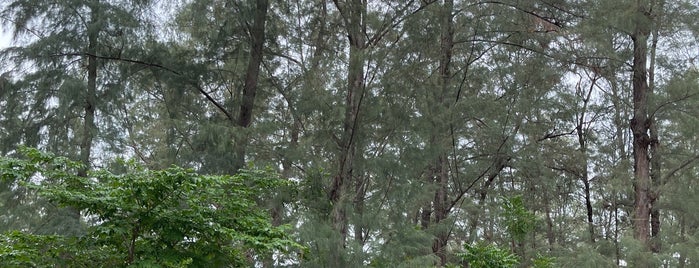 Pranburi National Forest Park is one of Lugares favoritos de Galina.