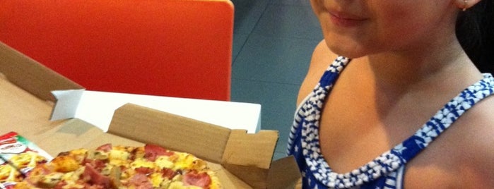Domino's Pizza is one of Pizza lovers.