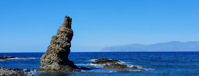 Playa de La Caleta is one of Canary Islands.