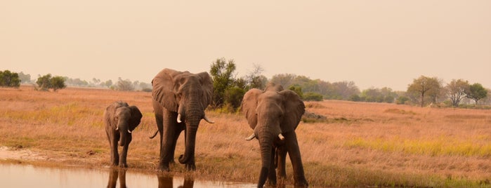 Okavango Delta is one of List.