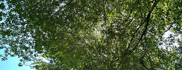 Park at Flat Rock is one of North Carolina.