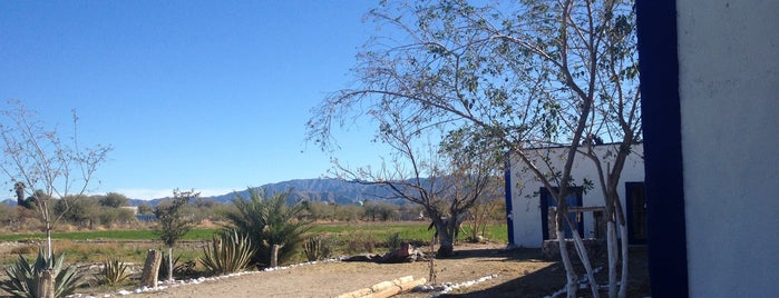 Viesca is one of Pueblos Magicos MX.