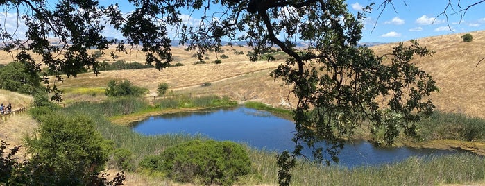 Calero County Park is one of The 15 Best Trails in San Jose.