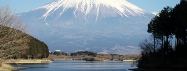 Lake Tanuki is one of Japan On Deck.